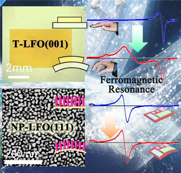 1616264412216080312.jpg 21.jpg